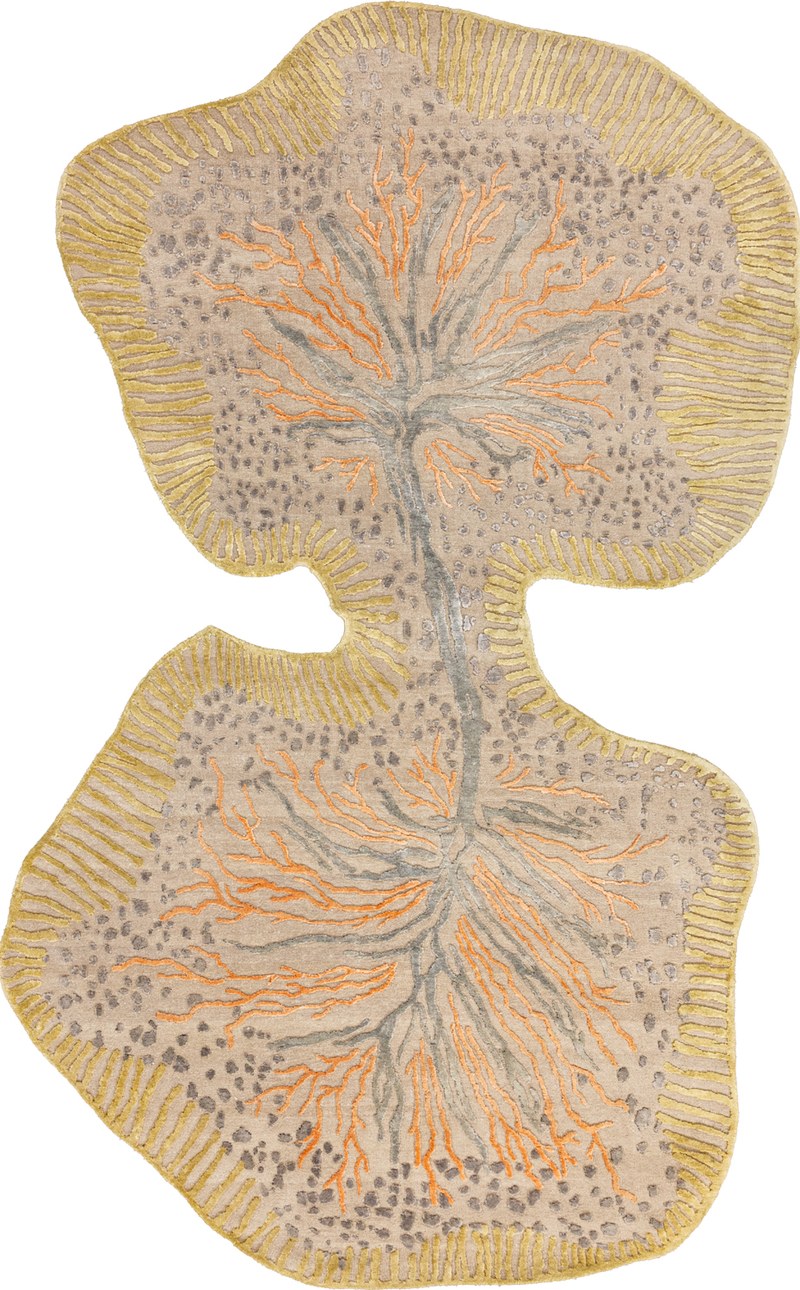 Ковёр Шёлк/Шерсть/Хлопок FLORALIS ИНДИЯ ART de VIVRE FLORALIS ORANGE II Фигура
